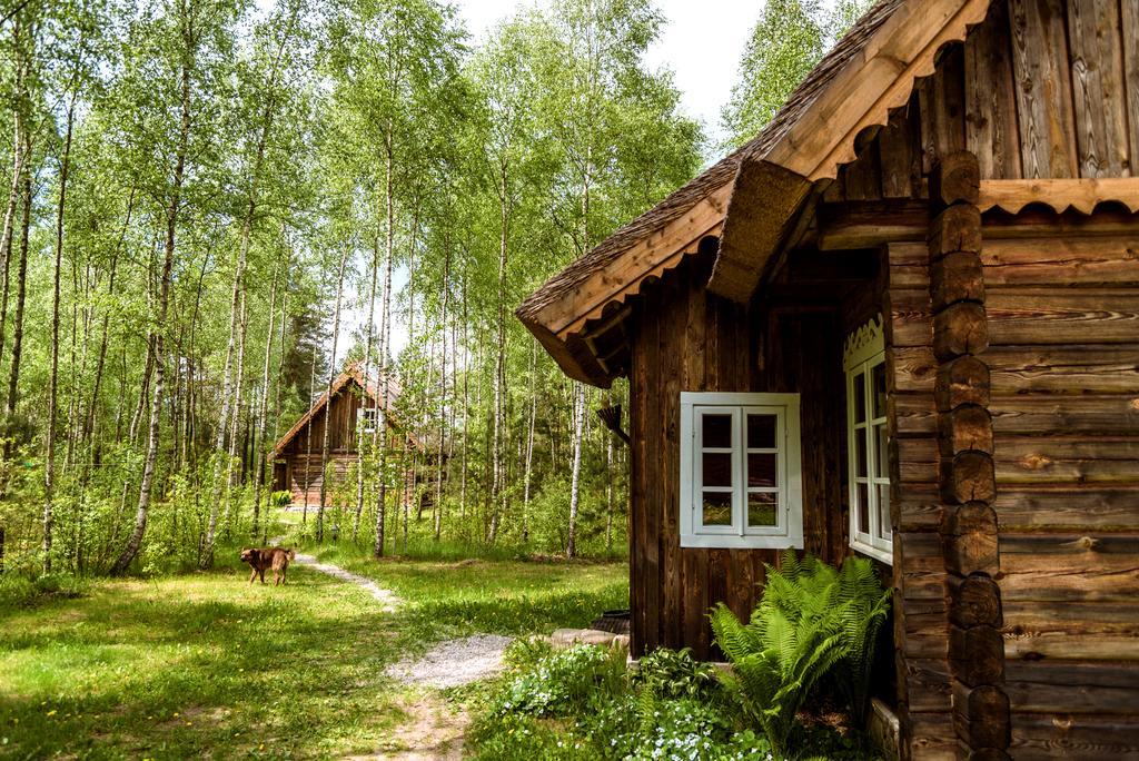 Penzion Vabalyne Vilkiskes Exteriér fotografie